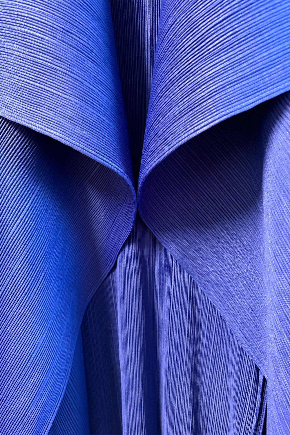 WC3379_BLUE JAY