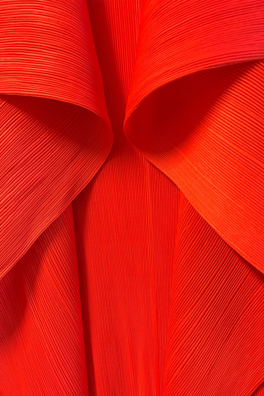 WC3380_POPPY