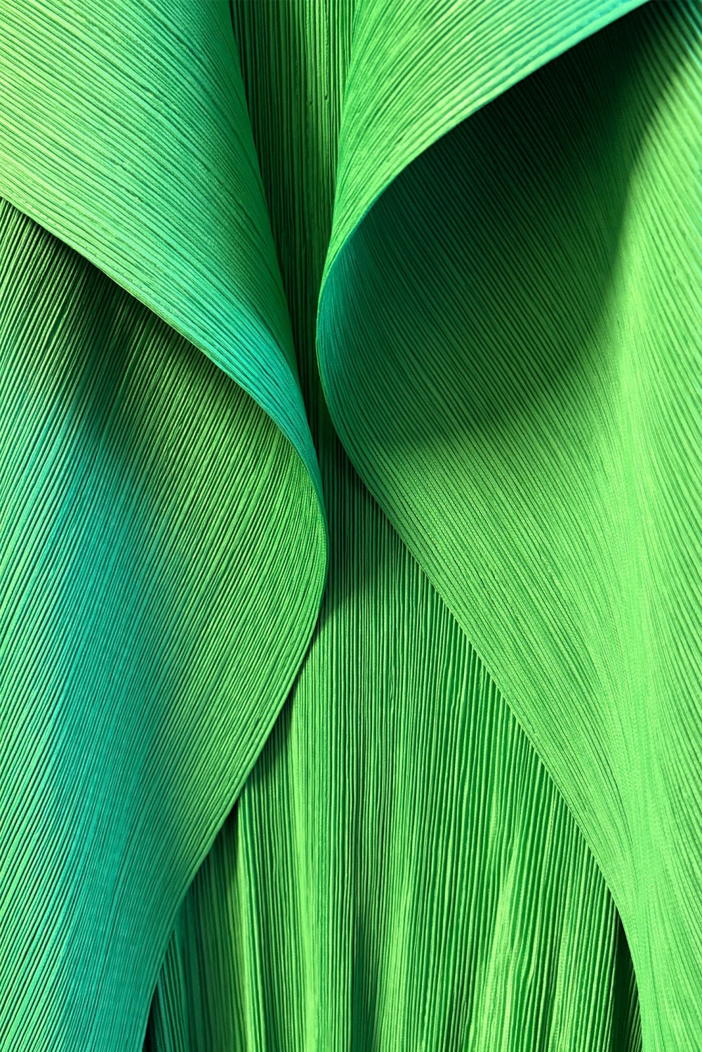 WC3378_JADE