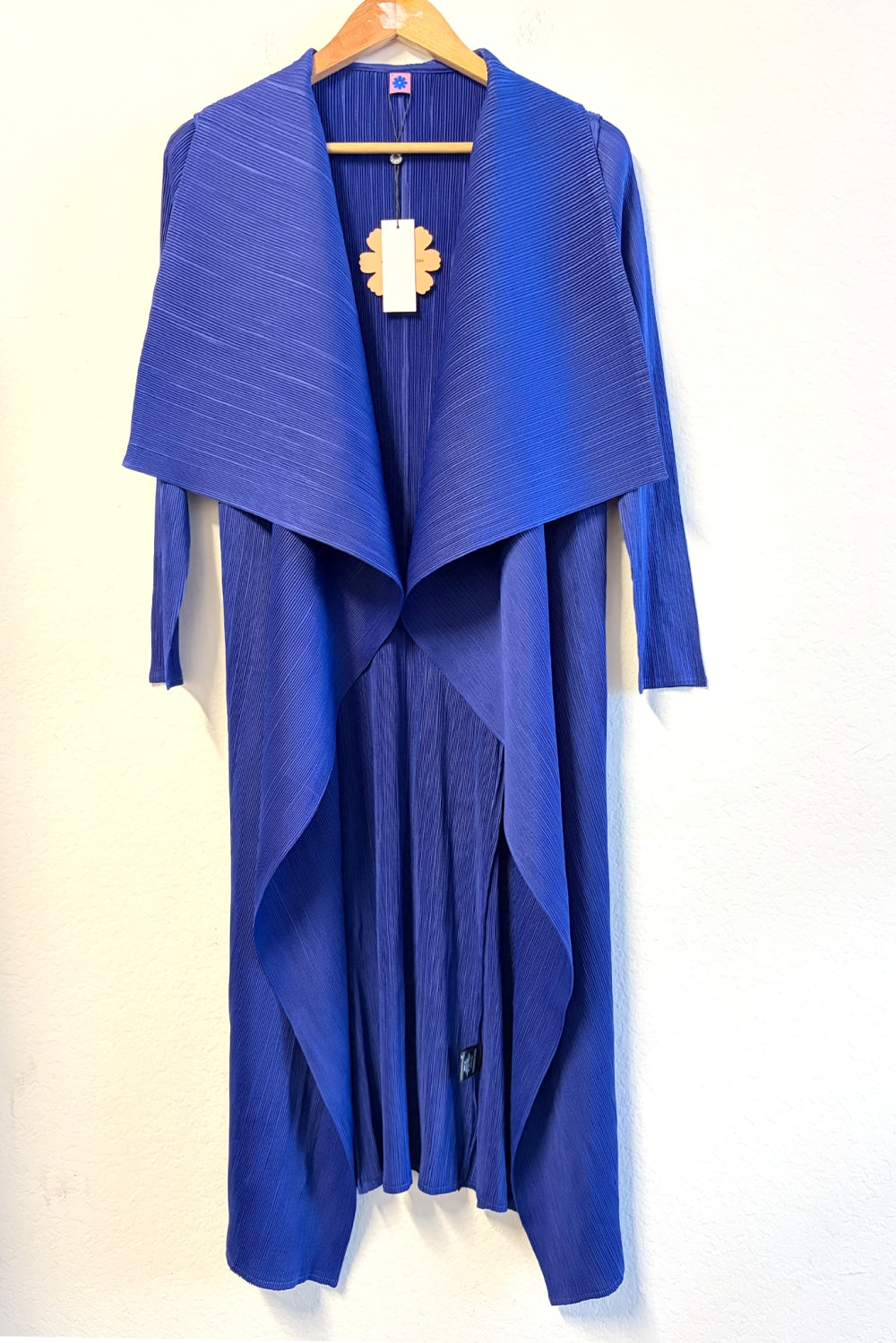WC3379_BLUE JAY
