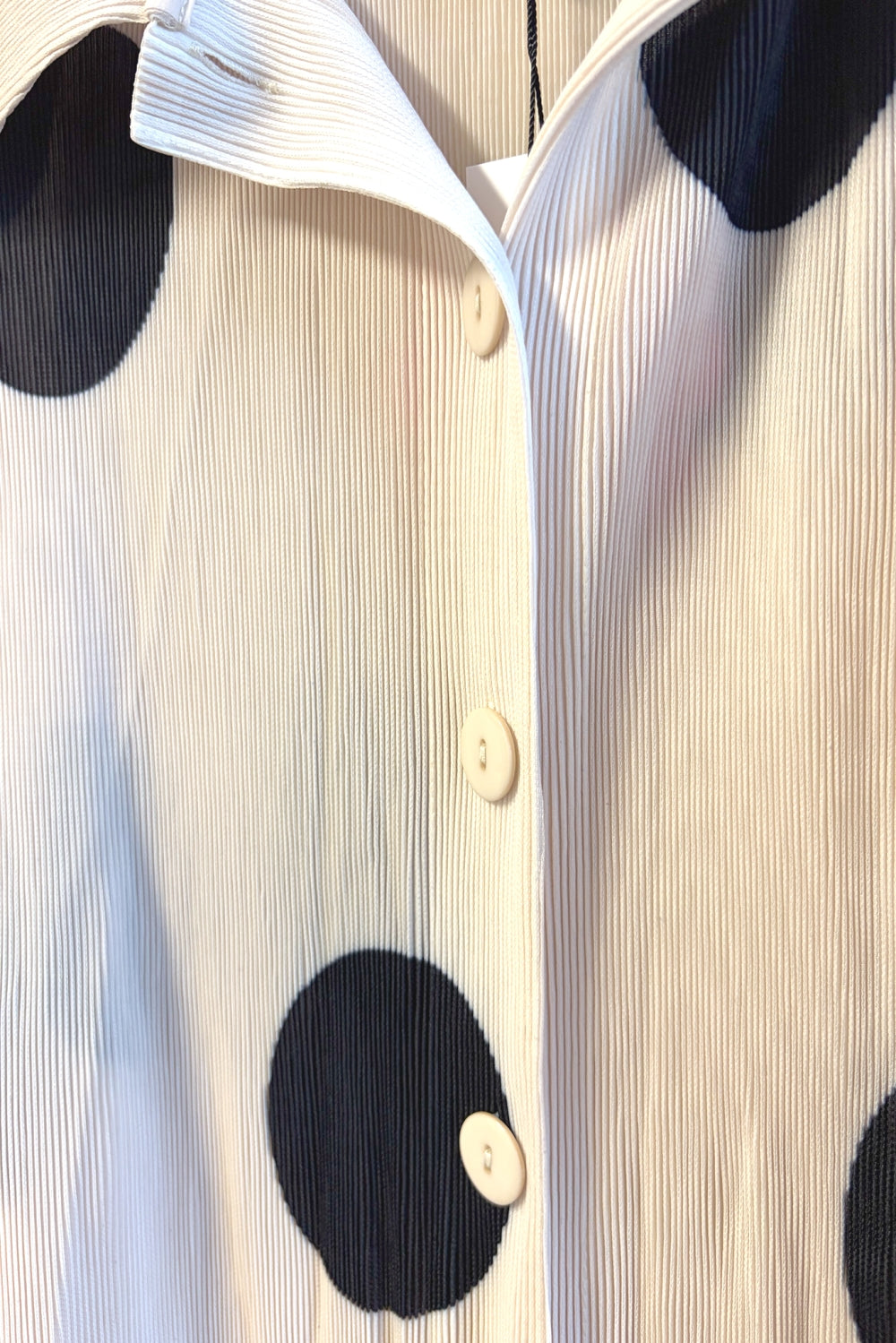 WC3369_IVORY-BLACK